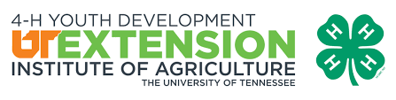 Tennessee 4-H Youth Development | Tennessee 4-H Youth Development